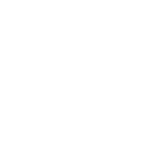 Certificate icon