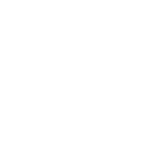 Data sheets icon