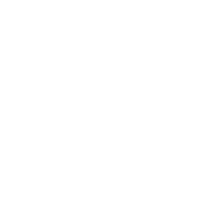 Search code icon
